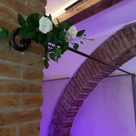 Apartment Le Arcate Del Giglio - Luxury